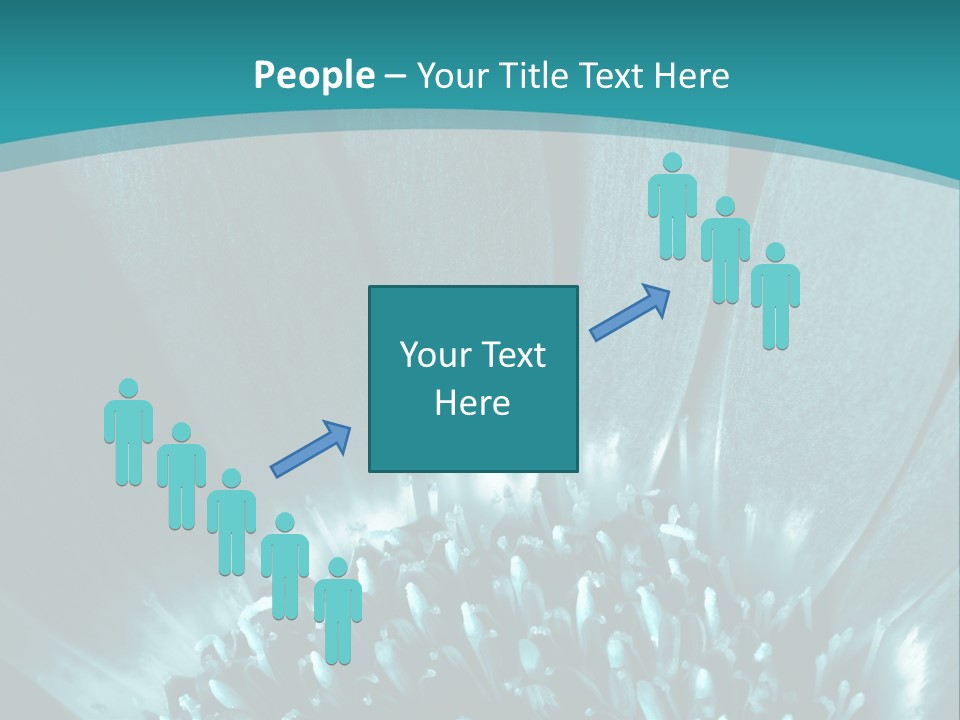 Colorful Bloom Flower PowerPoint Template