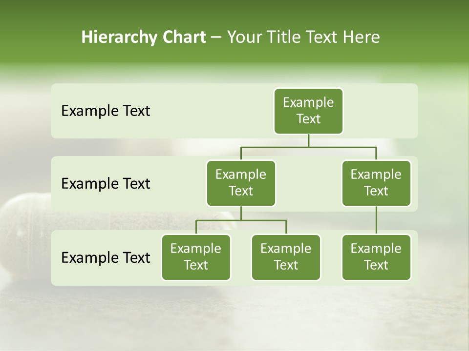 Medicine Brown Herbal Medicine PowerPoint Template
