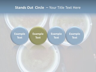 Three Cups Of Coffee Sitting On Top Of A Wooden Table PowerPoint Template