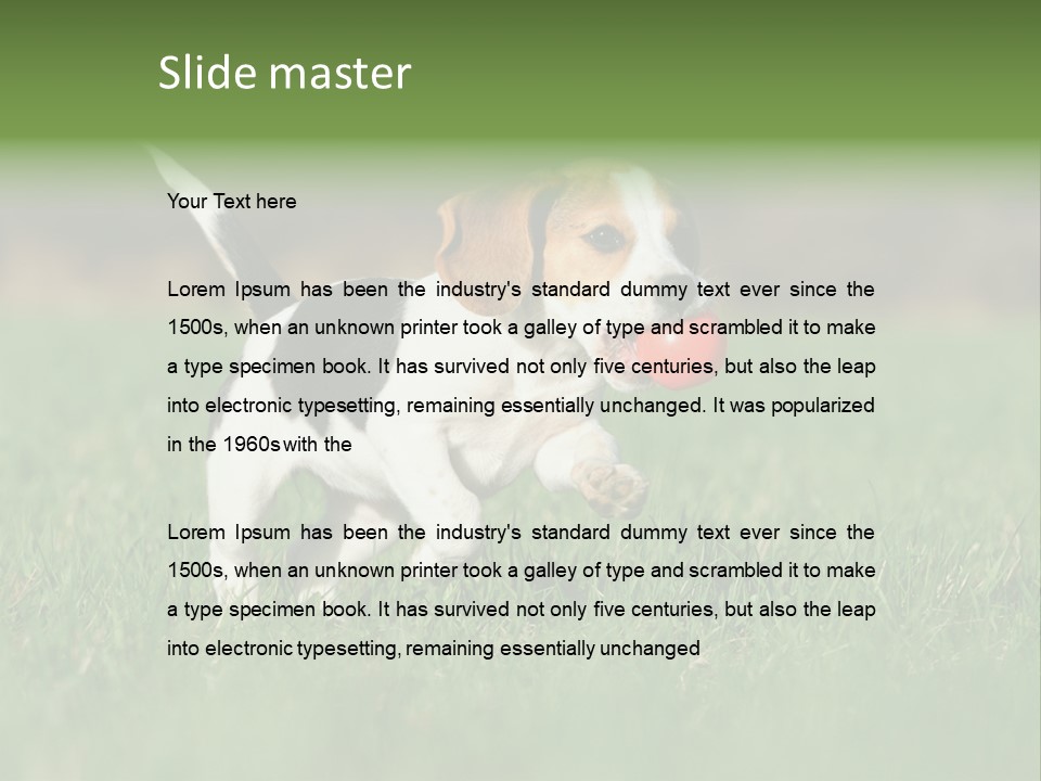 Little Kong Education PowerPoint Template