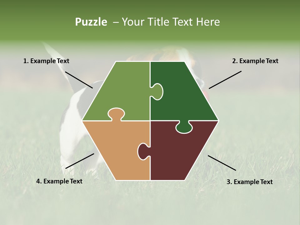 Little Kong Education PowerPoint Template