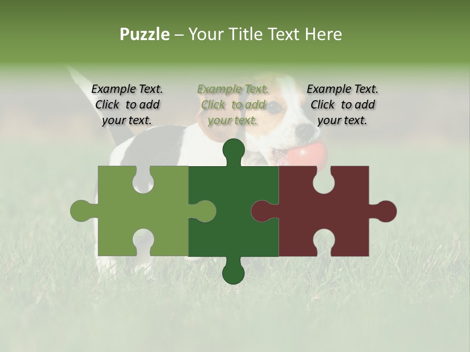 Little Kong Education PowerPoint Template