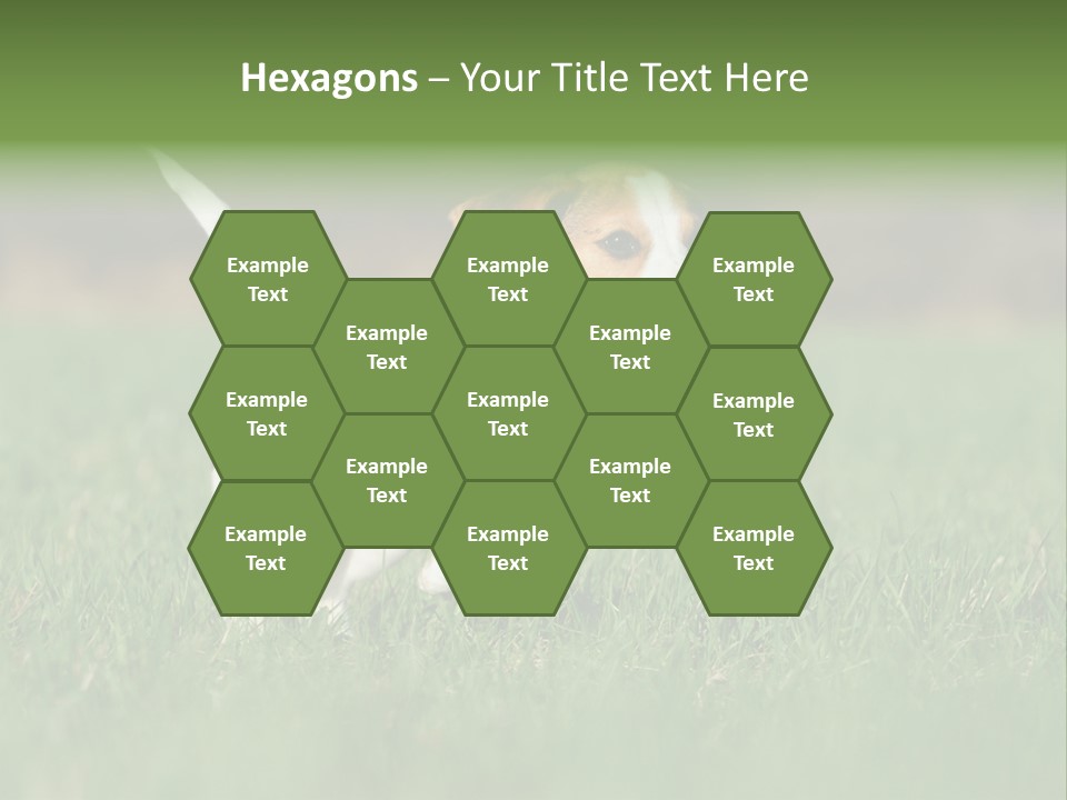 Little Kong Education PowerPoint Template