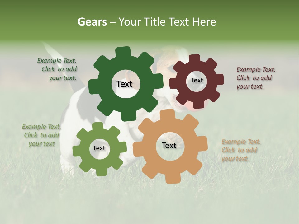 Little Kong Education PowerPoint Template