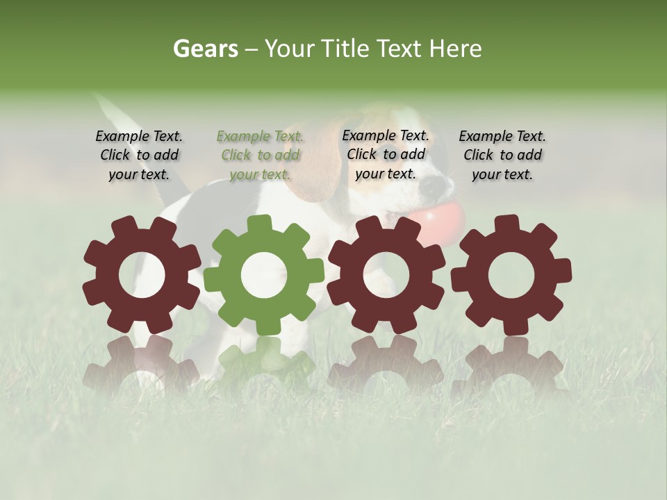 Little Kong Education PowerPoint Template