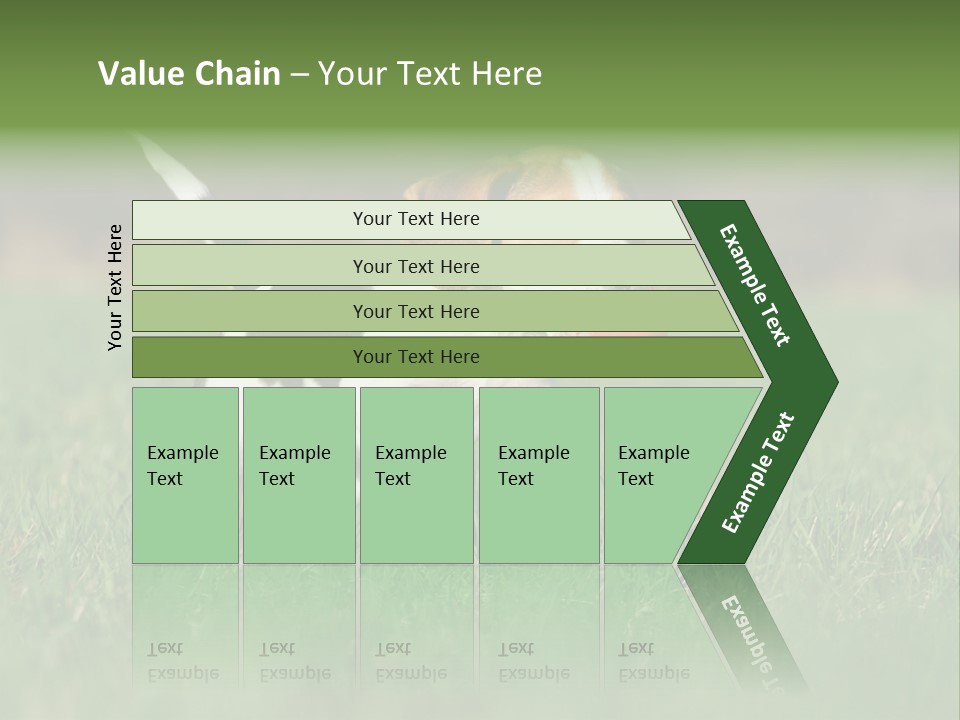 Little Kong Education PowerPoint Template