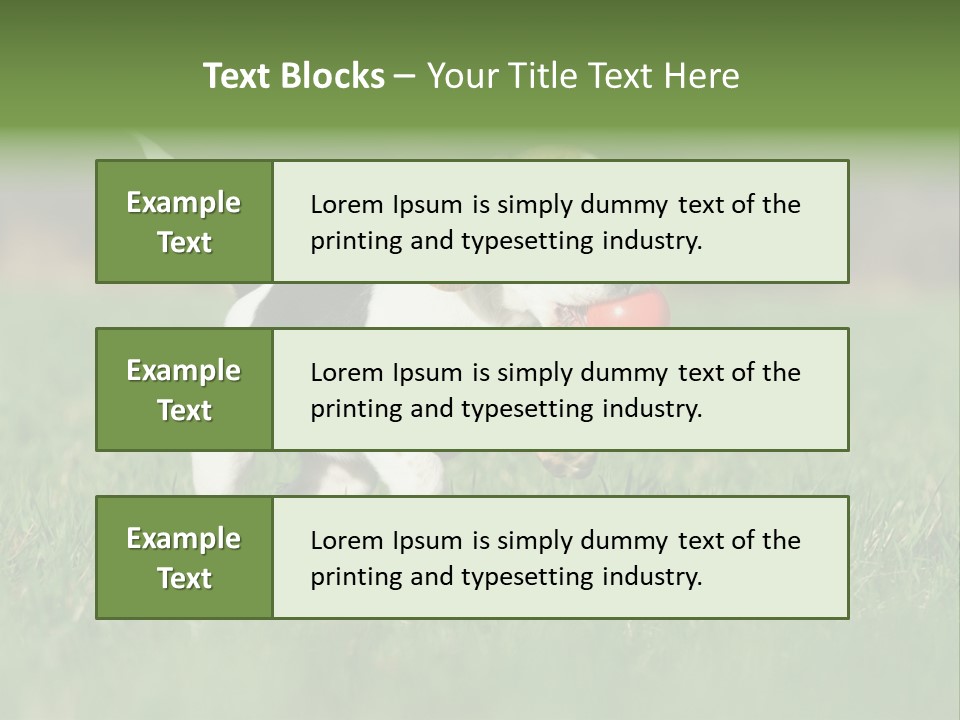 Little Kong Education PowerPoint Template