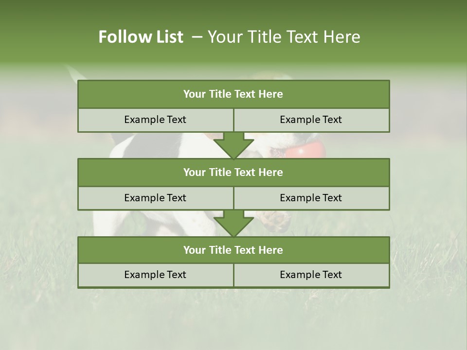 Little Kong Education PowerPoint Template