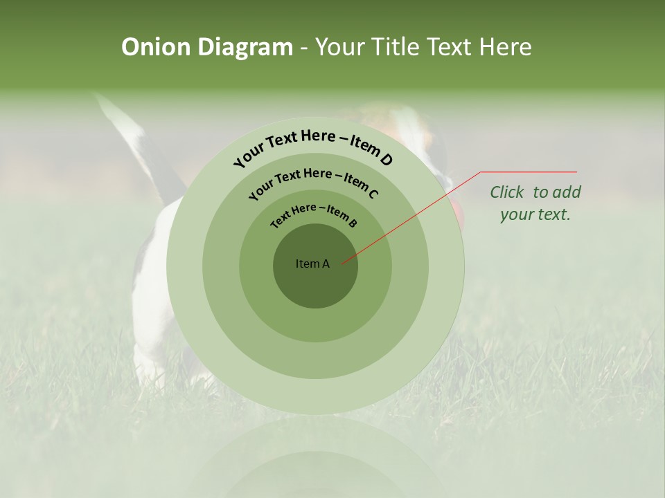 Little Kong Education PowerPoint Template