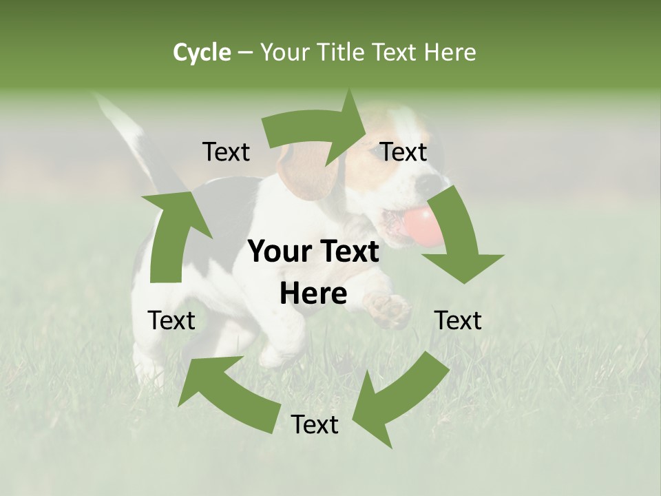 Little Kong Education PowerPoint Template