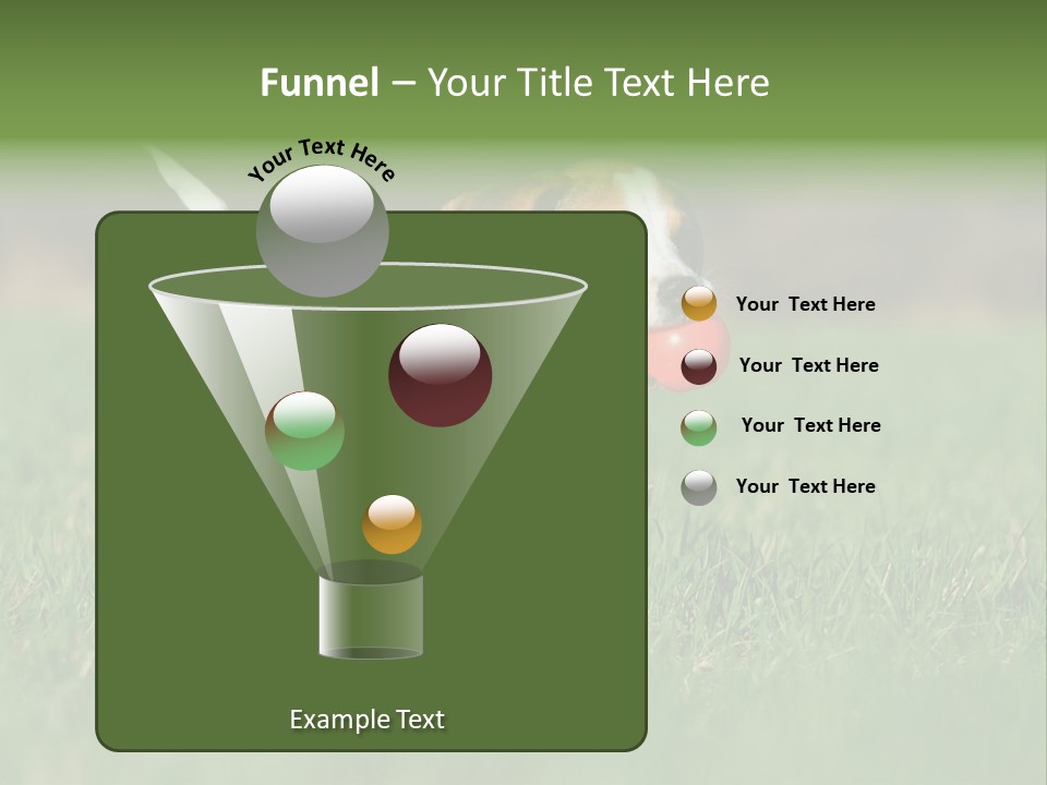 Little Kong Education PowerPoint Template