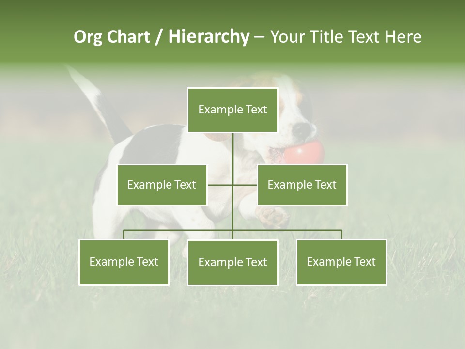 Little Kong Education PowerPoint Template
