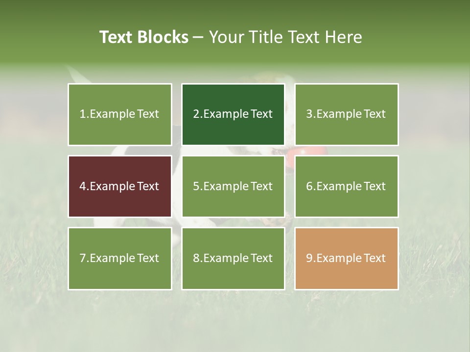 Little Kong Education PowerPoint Template