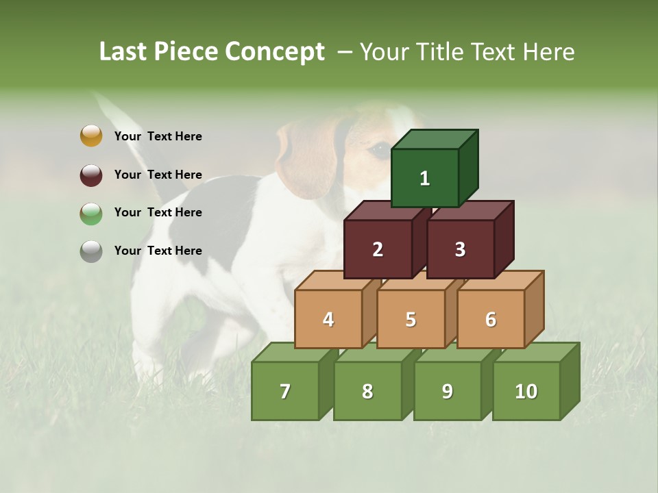 Little Kong Education PowerPoint Template