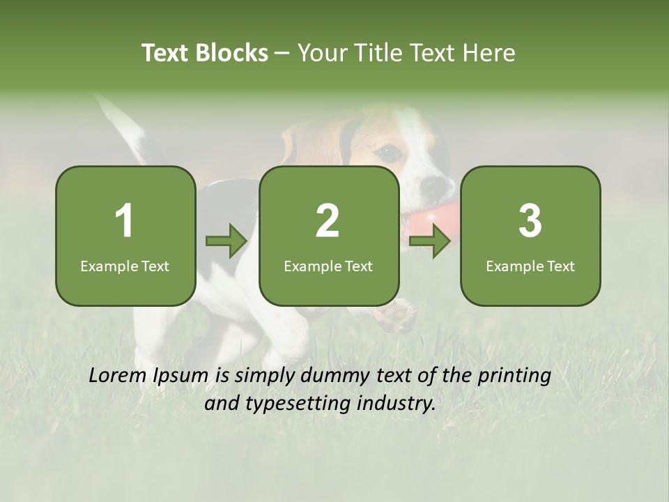Little Kong Education PowerPoint Template