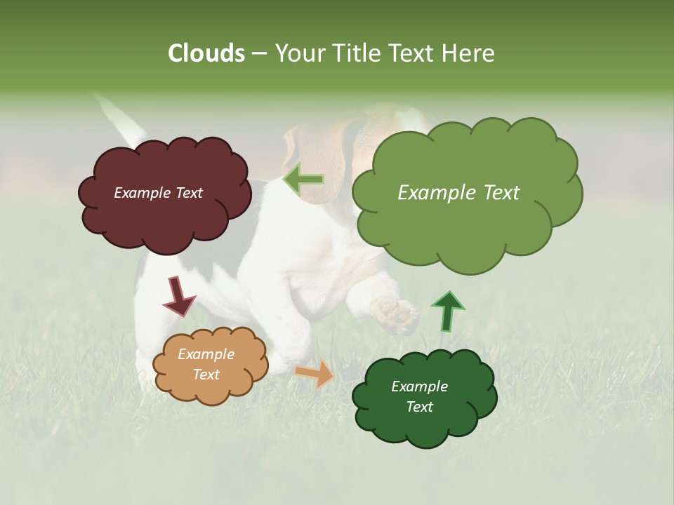 Little Kong Education PowerPoint Template
