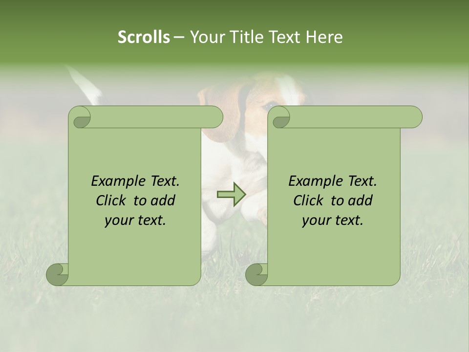 Little Kong Education PowerPoint Template