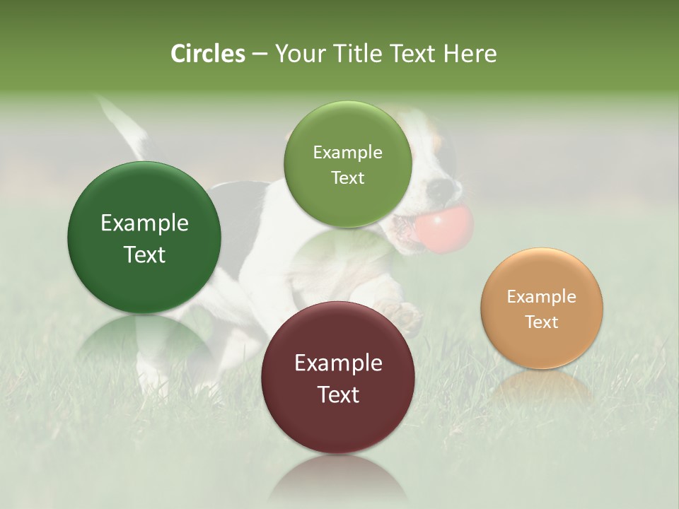 Little Kong Education PowerPoint Template