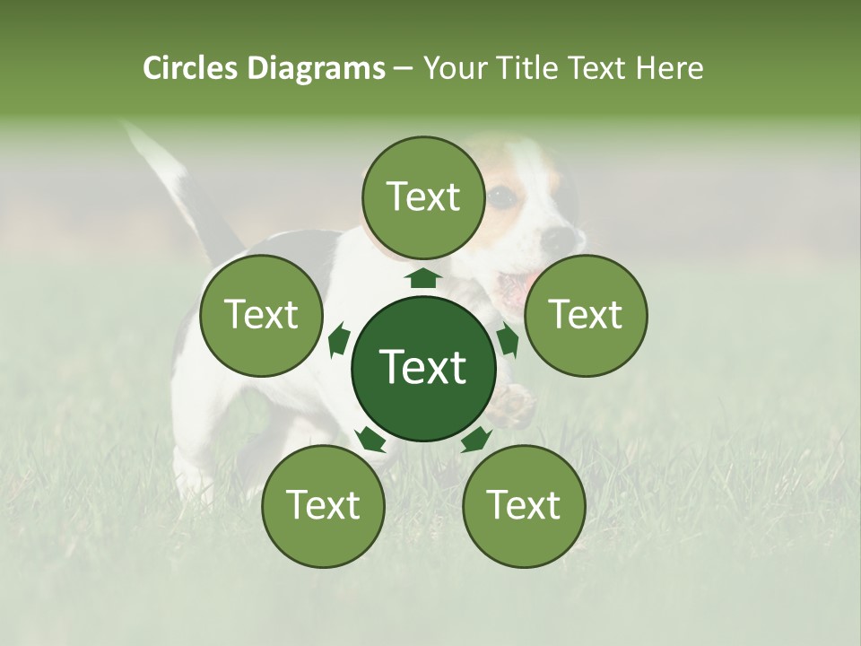 Little Kong Education PowerPoint Template