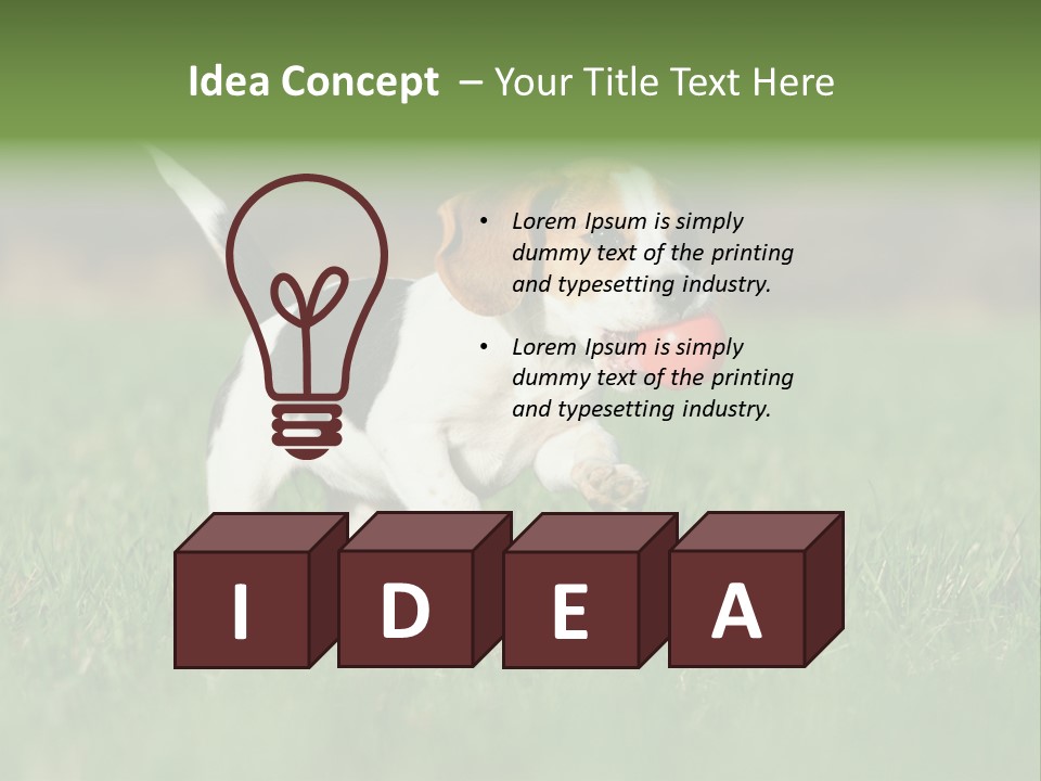 Little Kong Education PowerPoint Template