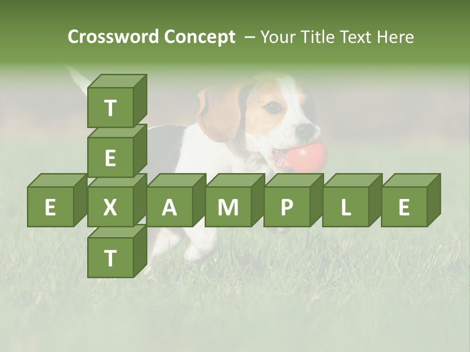 Little Kong Education PowerPoint Template