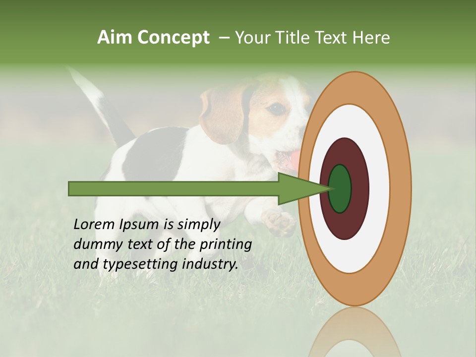 Little Kong Education PowerPoint Template