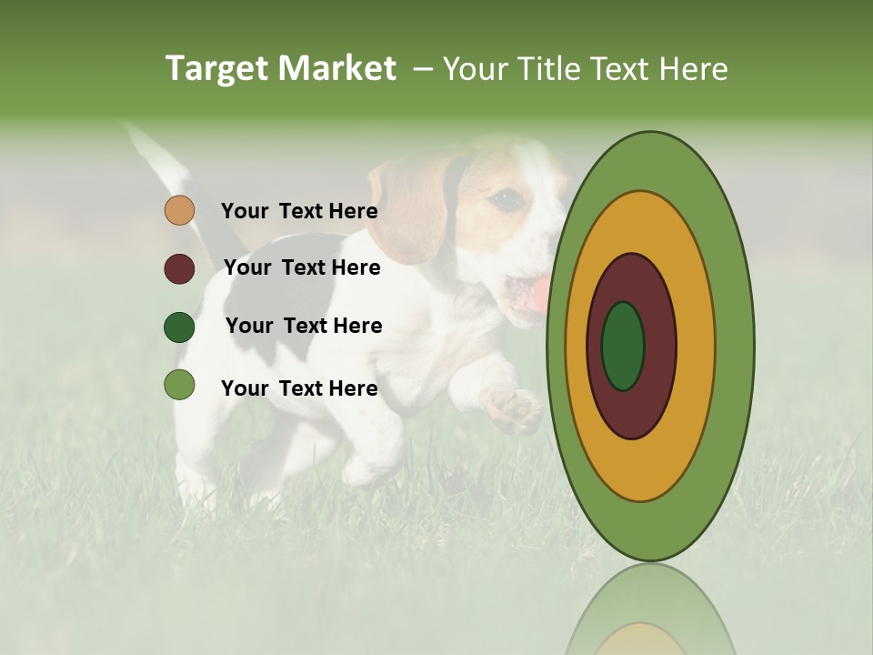 Little Kong Education PowerPoint Template