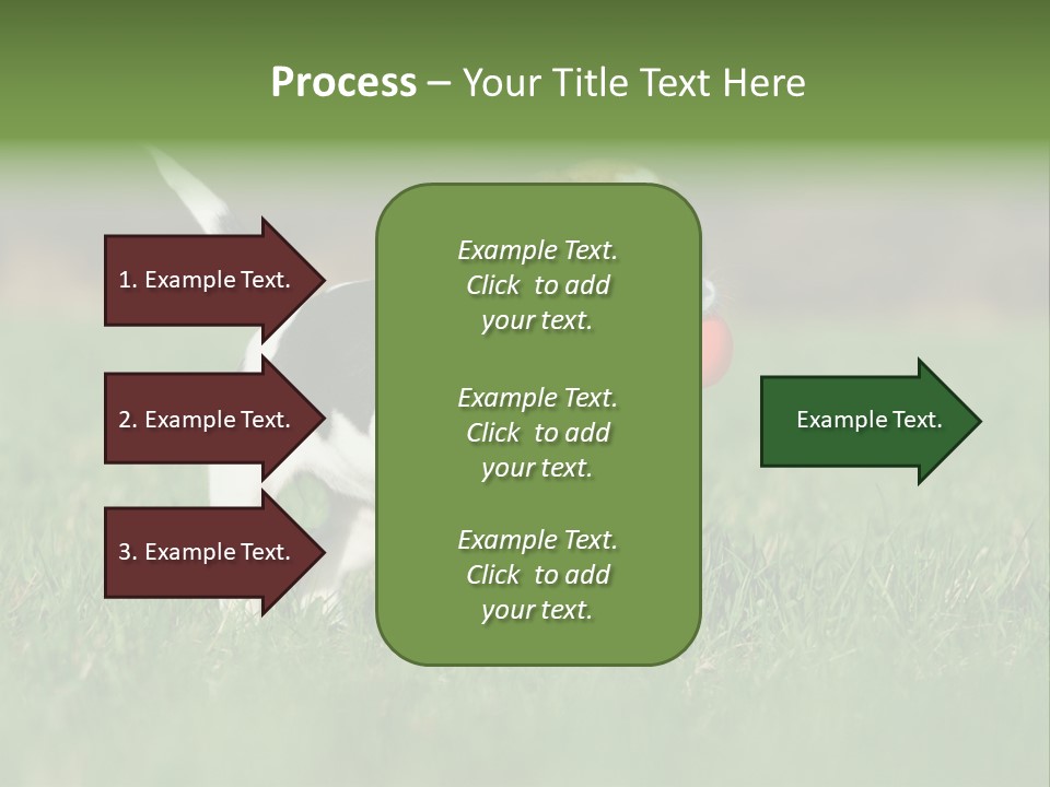 Little Kong Education PowerPoint Template