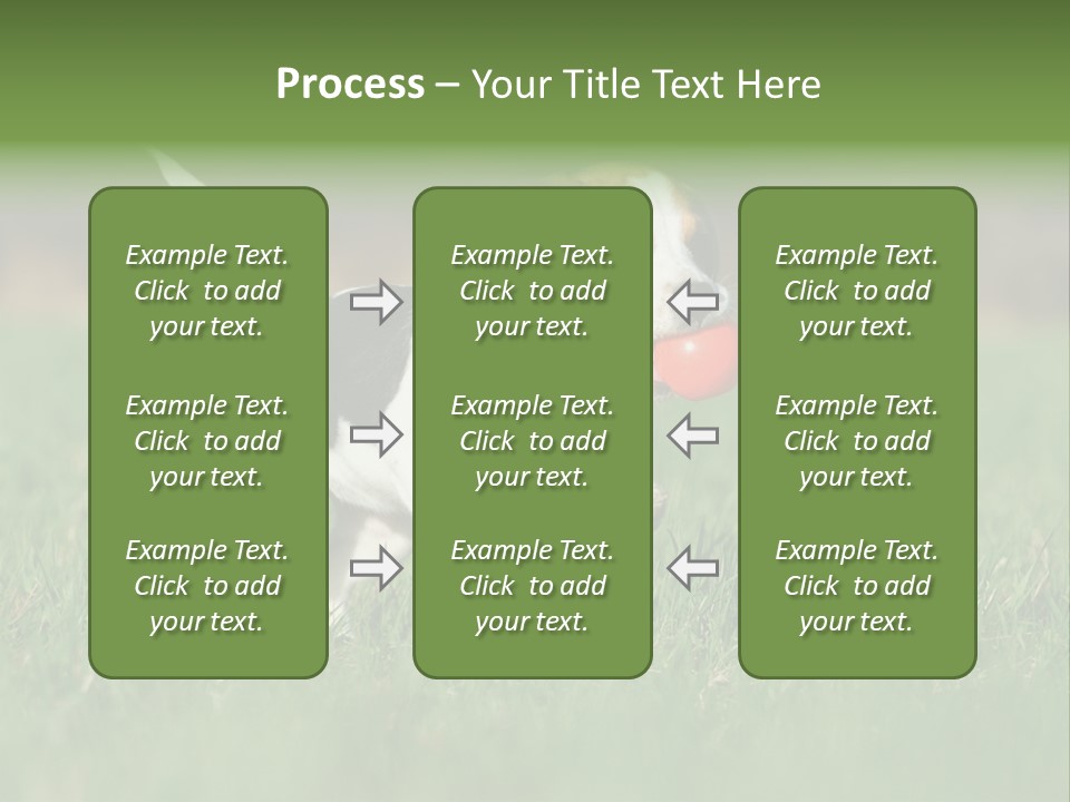 Little Kong Education PowerPoint Template