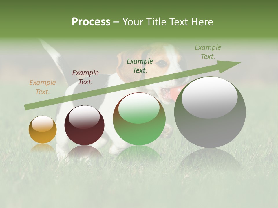 Little Kong Education PowerPoint Template