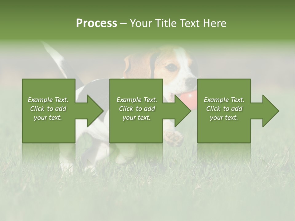 Little Kong Education PowerPoint Template