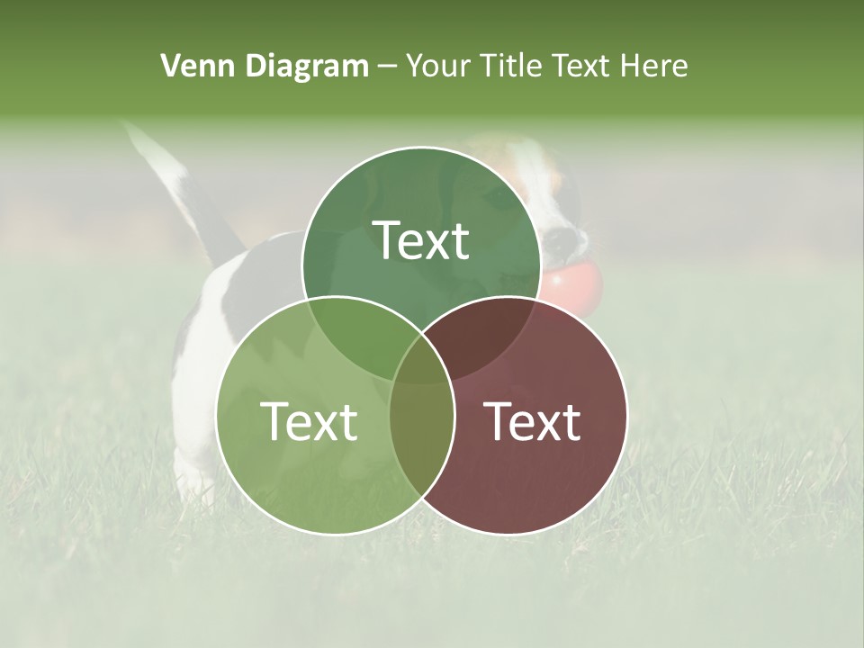 Little Kong Education PowerPoint Template