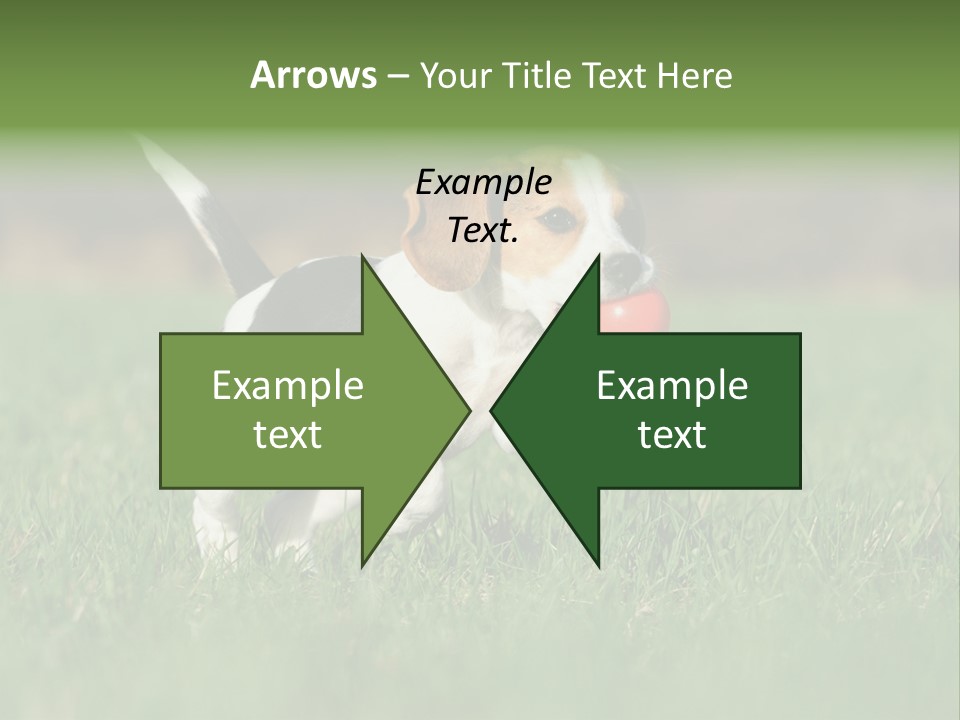 Little Kong Education PowerPoint Template