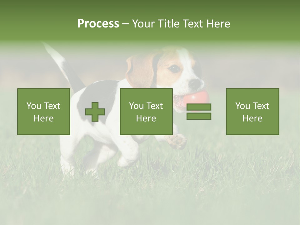 Little Kong Education PowerPoint Template