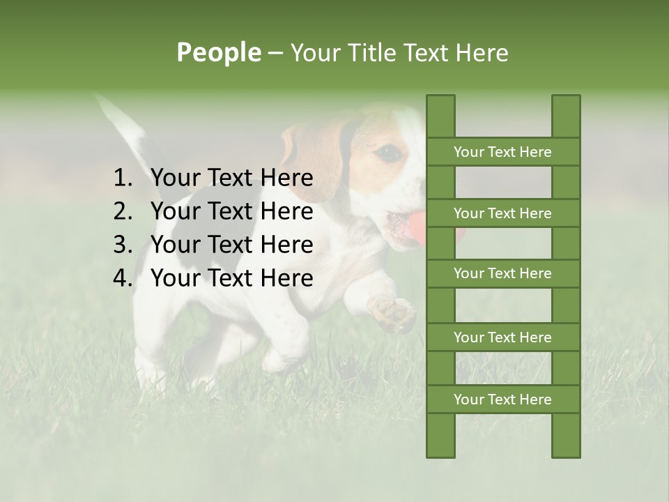 Little Kong Education PowerPoint Template