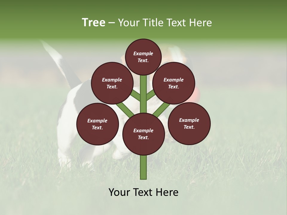 Little Kong Education PowerPoint Template