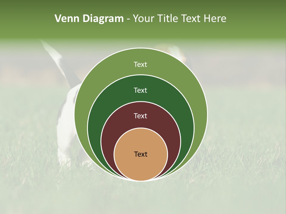 Little Kong Education PowerPoint Template
