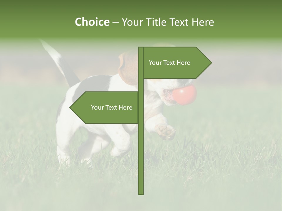 Little Kong Education PowerPoint Template