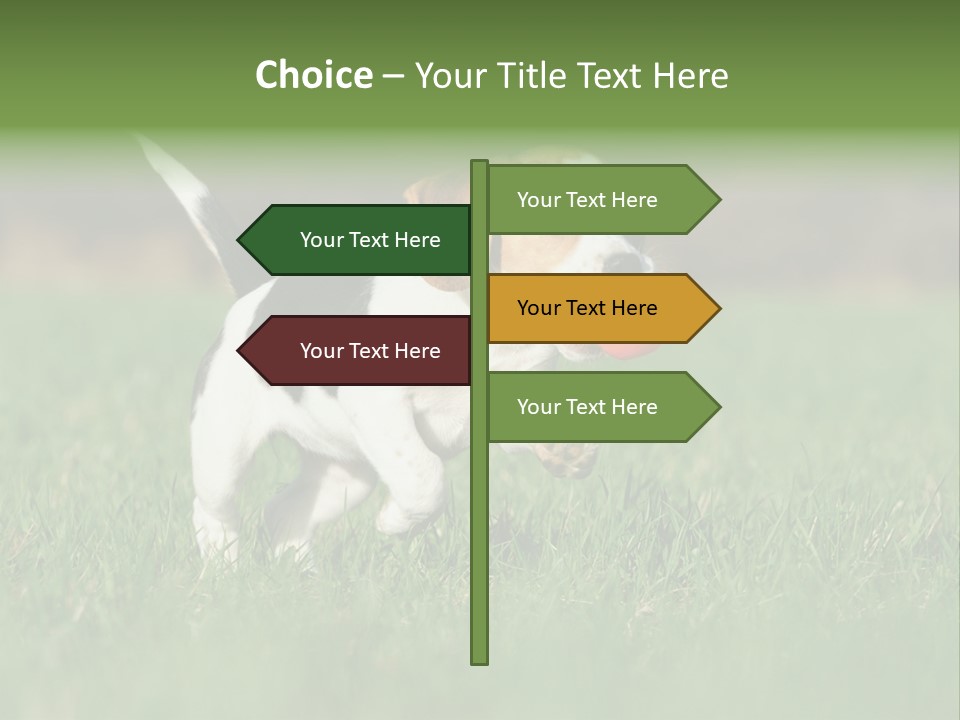 Little Kong Education PowerPoint Template