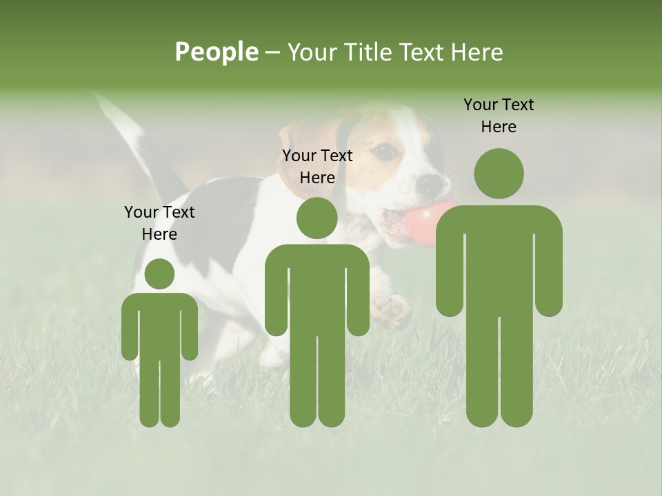 Little Kong Education PowerPoint Template