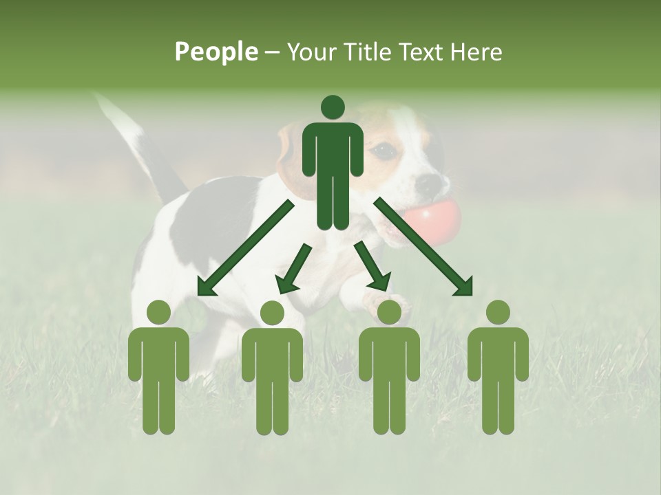 Little Kong Education PowerPoint Template