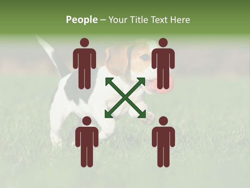 Little Kong Education PowerPoint Template