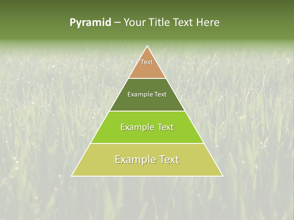 Celebratory Event Fill PowerPoint Template