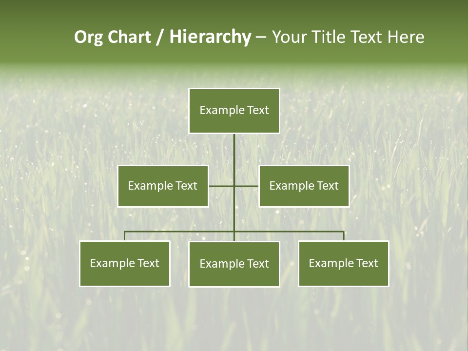 Celebratory Event Fill PowerPoint Template