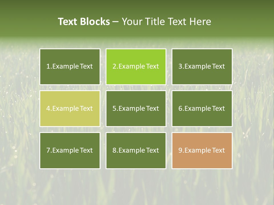 Celebratory Event Fill PowerPoint Template