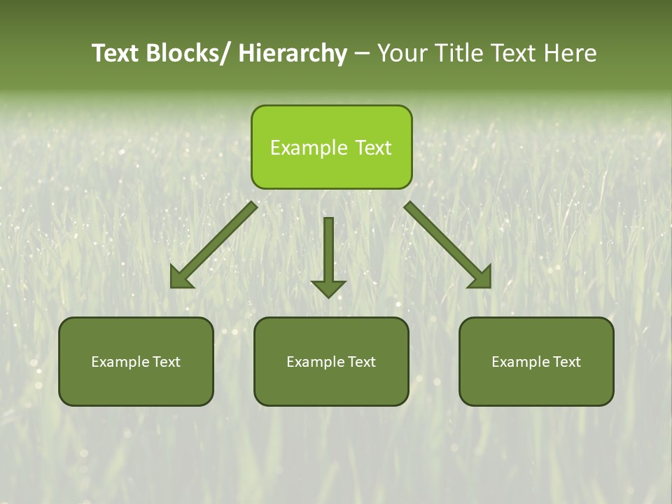 Celebratory Event Fill PowerPoint Template
