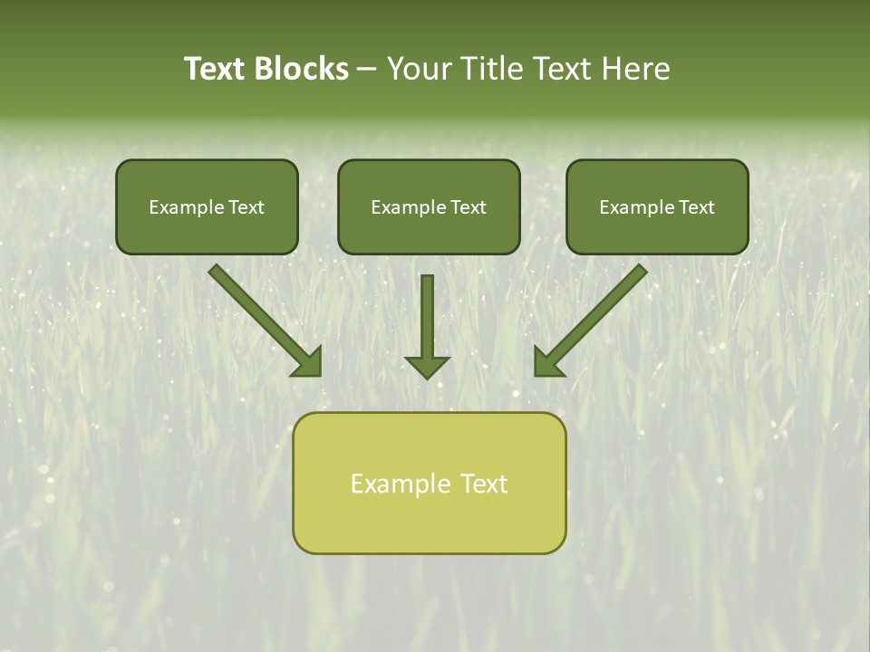 Celebratory Event Fill PowerPoint Template