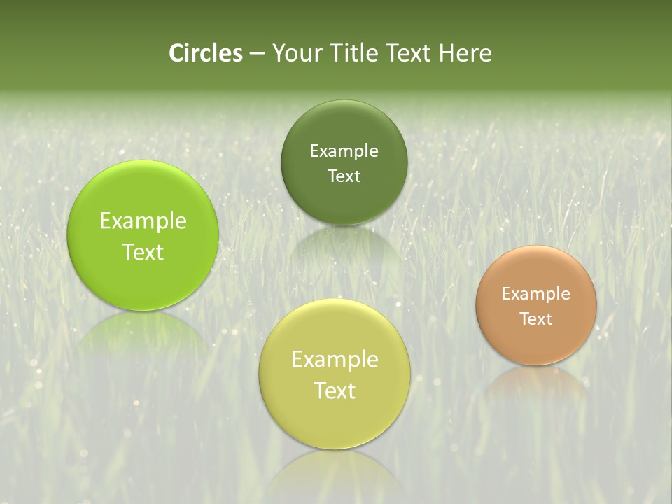 Celebratory Event Fill PowerPoint Template