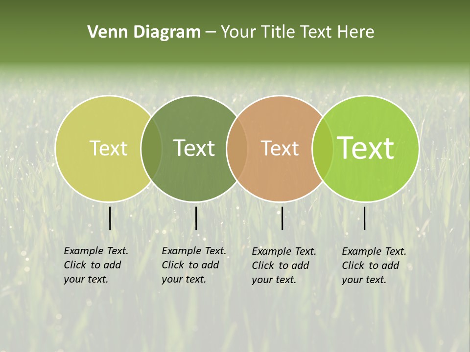 Celebratory Event Fill PowerPoint Template