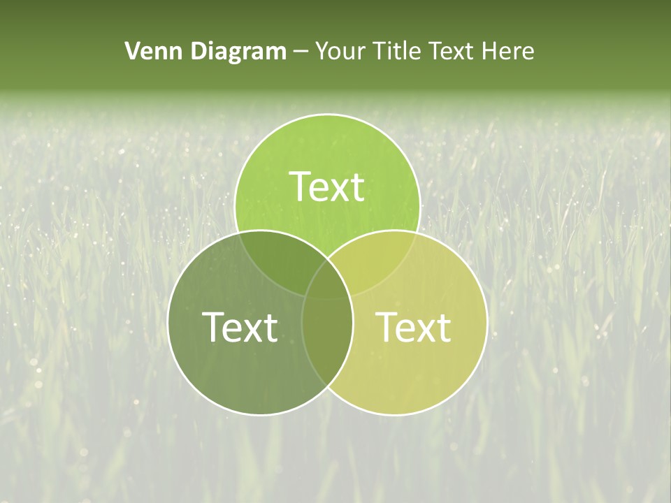 Celebratory Event Fill PowerPoint Template